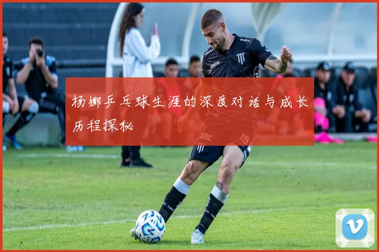 杨娜乒乓球生涯的深度对话与成长历程探秘