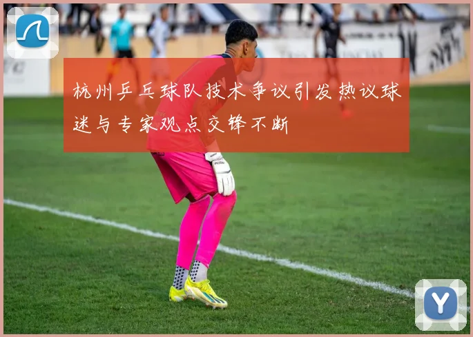 杭州乒乓球队技术争议引发热议球迷与专家观点交锋不断
