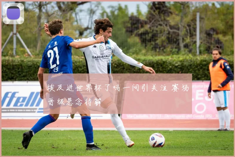 埃及进世界杯了吗一问引关注 赛场晋级悬念待解